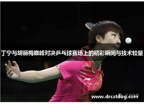 丁宁与胡丽梅巅峰对决乒乓球赛场上的精彩瞬间与技术较量