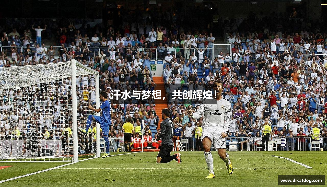 汗水与梦想，共创辉煌！